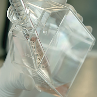 xeno-free gmp-grade stem cell culture medium