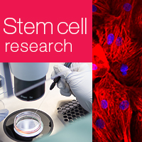 Research-grade stem cell services