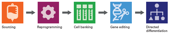 Custom stem cell services