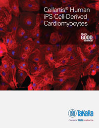 Cardiomyocytes brochure