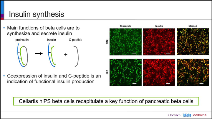 Example slide for webinar