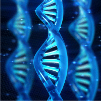 Magnetic bead-based isolation of genomic DNA from forensic samples