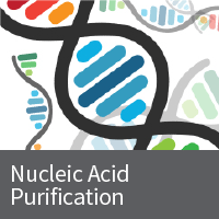 Macherey-Nagel™ Buffer Solutions for NucleoMag™ RNA