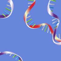 Remove inhiboitors from your RT-PCR reactions using our RNA clean-up kits