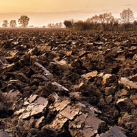 Efficient purification of RNA from soil or sediment samples