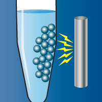 Rapid purification of genomic DNA from human and animal tissue, cultured cells, or bacteria using magnetic beads