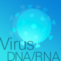 Rapid, manual and automated small-scale purification of viral RNA and DNA from cell-free body fluids in a magnetic-bead format.