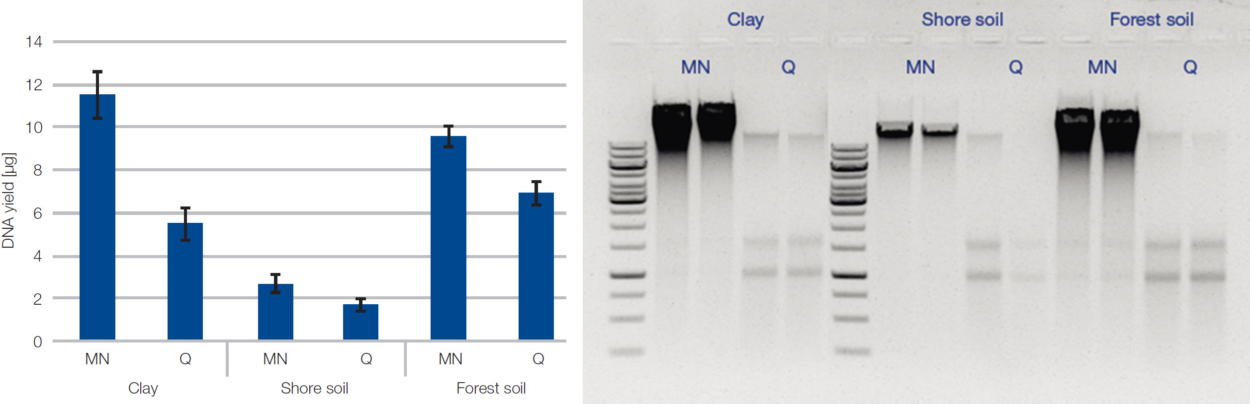 efficient parallel DNA isolation