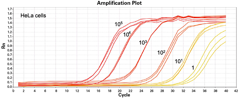 NucleoSpin RNA Plus XS combines reliable high sensitivity with reproducible high yields.