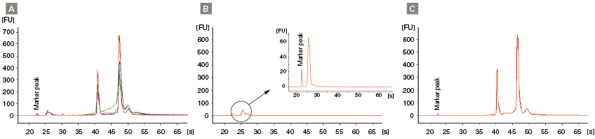 NucleoSpin miRNA