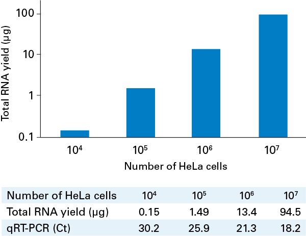 Purification of siRNA from a DICER reaction mixture
