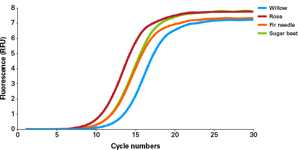 qPCR of DNA purified by NucleoSpin Plant II Maxi