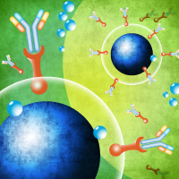 Anti-CD3 antibodies, OKT3 clone, used to expand T cells in culture for use in adoptive immunotherapy. 