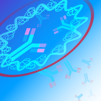 antibody purification