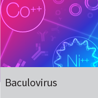 Baculovirus expression systems, titration kits, insect cells and media. 