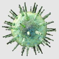 Epstein-Barr virus