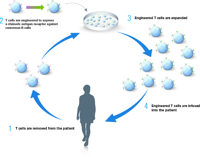 what is the outcome of mesothelioma