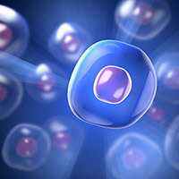 Single cells