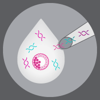 Decorative image of a pipette touching a droplet in a dish