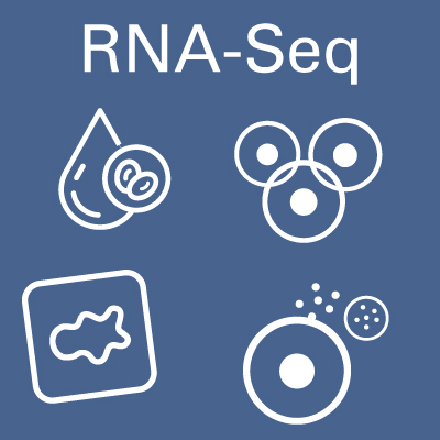 Cancer cell with biomarkers identified via RNA sequencing