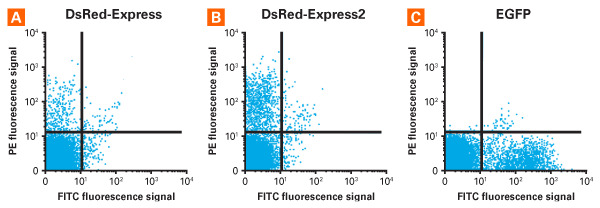 Robust expression of DsRed-Express2 in mouse bone marrow hematopoietic stem and progenitor cells