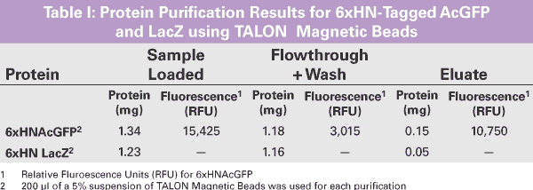 6xHN-tagged AcGFP1 and LacZ, purified using TALON Magnetic Beads
