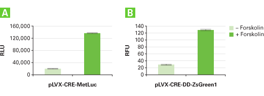 Lenti-X reporter systems provide low background and high signal intensity