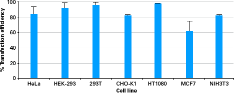 High-efficiency transfection of seven of the most commonly used cell lines with Xfect Transfection Reagent