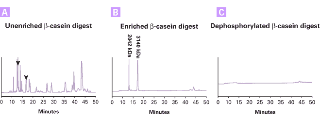 Phosphopeptides of beta-casein purified using the Phosphopeptide Enrichment Spin Columns