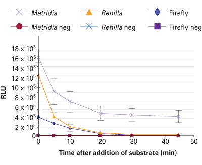 High signal intensity and stability using secreted Metridia luciferase