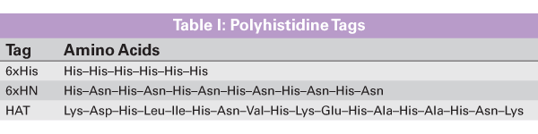 Amino acid sequences of 6xHis, 6xHN, and HAT polyhistidine tags