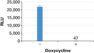 Retroviral delivery combined with tetracycline-inducible expression