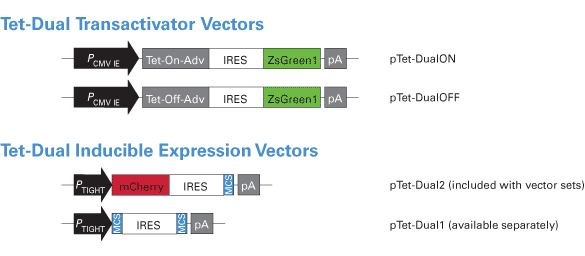 IRES fluorescent vector sets (Cat. # 631112, 631113)