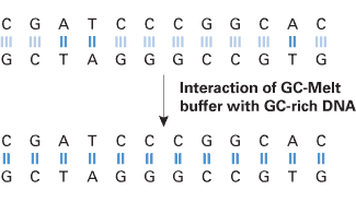 Conceptualized GC-Melt mechanism