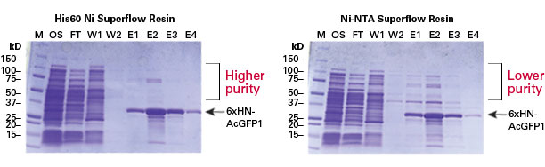 Higher purity was obtained when using His60 Ni Superflow for purification of recombinant his-tagged protein—as compared to Ni-NTA Superflow resin