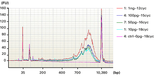 Electropherogram of amplified SMARTer cDNA