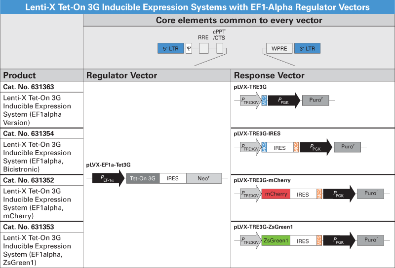 Lentiviral Tet-On 3G systems