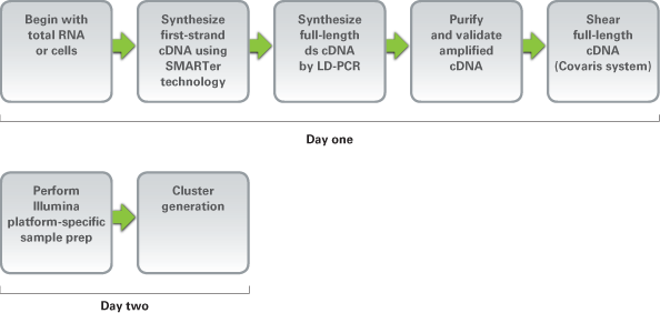 Overview of SMARTer Ultra Low RNA Kit sample preparation for Illumina sequencing