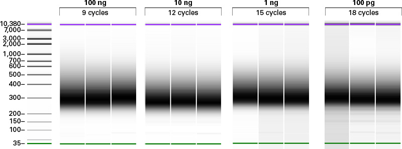 cDNA libraries produced using the SMARTer Stranded RNA-Seq Kit show comparable yields and purity irrespective of input RNA concentrations