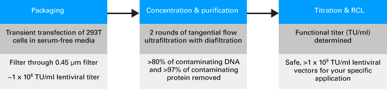 Overview of the process for generating high-titer lentiviral particles