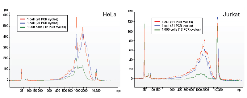 Individual cells or 1,000 cells (HeLa or Jurkat; Panel A and Panel B, respectively) were used as input for the SMARTer Ultra Low Input RNA Kit for Sequencing - v3