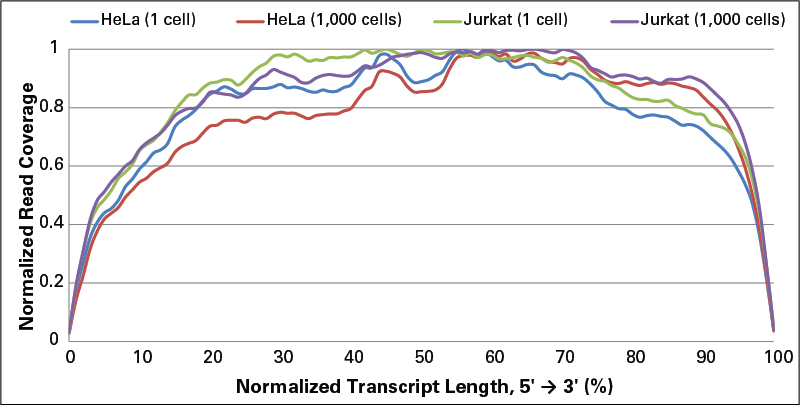 The gene body coverage of the cDNA libraries made from 1 or 1,000 HeLa cells (blue and red lines, respectively), or 1 or 1,000 Jurkat cells (green and purple lines, respectively) using the SMARTer Ultra Low Input RNA Kit for Sequencing - v3 was determined using RSeQC