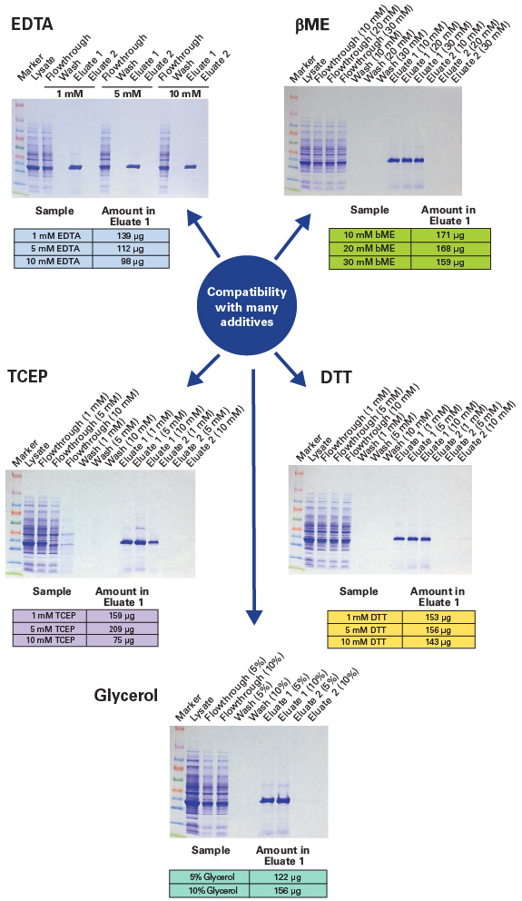 Purification of GFPuv in the presence of a wide range of additives, at varying concentrations