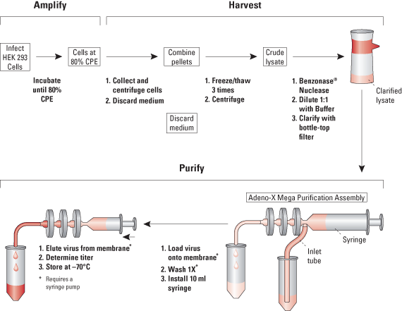 The Adeno-X Mega Purification Kit protocol