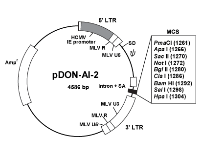 Vector map for pDON-AI-2