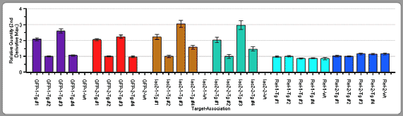 Determination of homozygous/heterozygous genotypes using the Transgene Detection Primer Set for Real Time (Mouse) This experiment demonstrates how the Transgene Detection Primer Set for Real Time (Mouse) and quantitative PCR of genomic DNA from mouse tails can be used to accurately determine the homozygous and heterozygous genotypes of transgenic mice