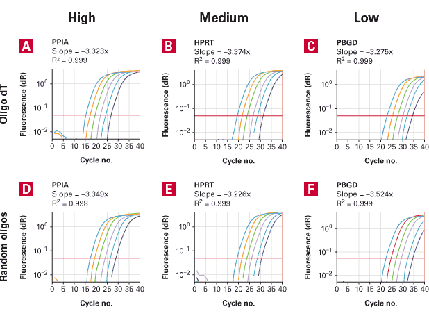 High-, medium- and low-abundance gene targets are easily detected in qPCR Human Reference cDNA