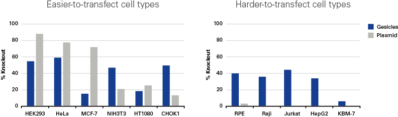 Knockout efficiency of fluorescent reporter by Cas9-sgRNA protein complexes delivered to various cell types using gesicles