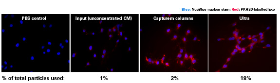 Functional analysis of exosomes