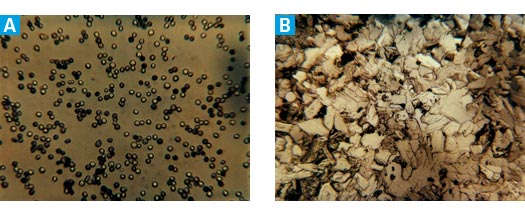 NucleoTrap resin vs. glass milk.